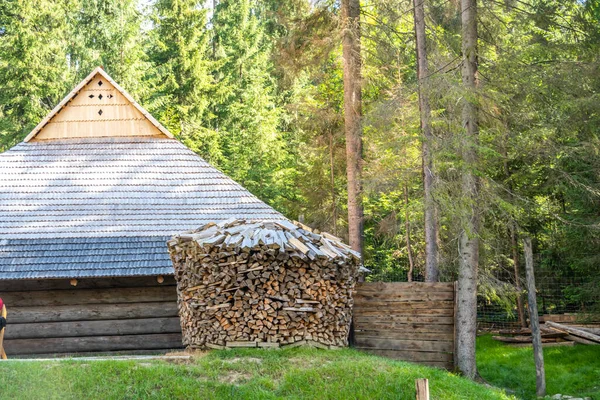 Houses Ancient Peoples Carpathians — Stock Photo, Image