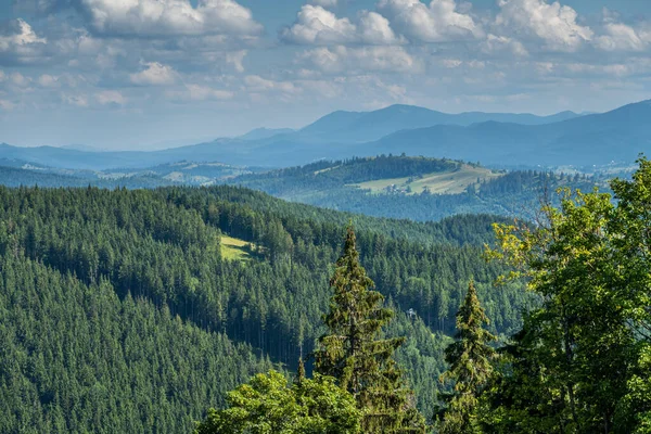 Kayak merkezi yaz doğası arka planı