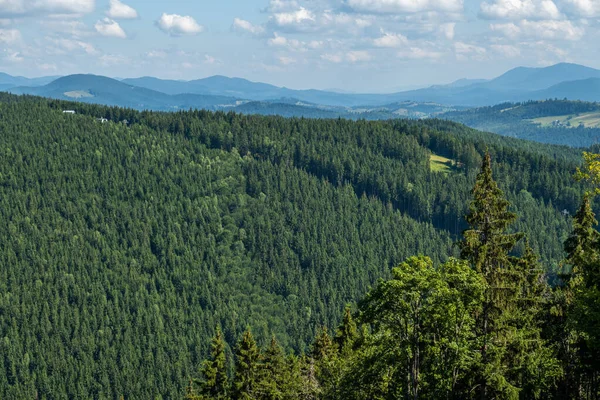 Kayak merkezi yaz doğası arka planı