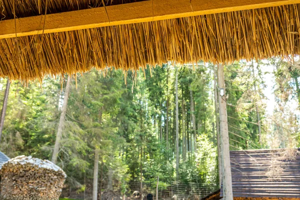 Karpatların eski halklarının evleri.