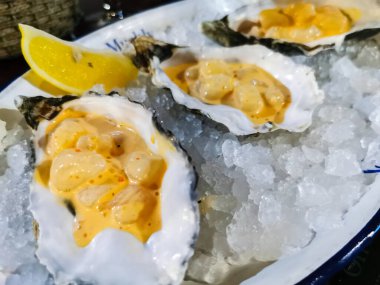 Deniz kabuğu tartare deniz kabuğu gıda arka planı