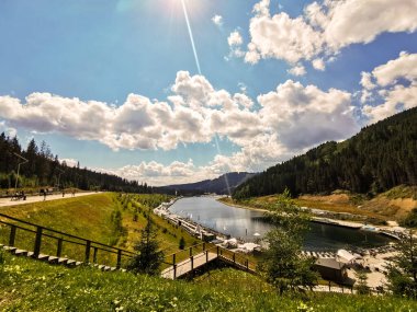 Güzel dağ ormanı manzarası