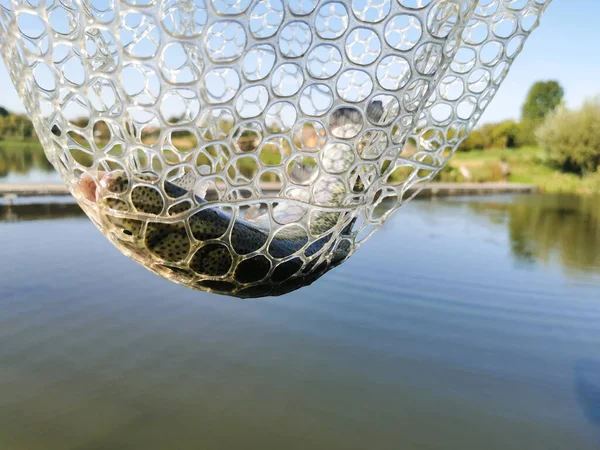 湖でのパイク釣り — ストック写真