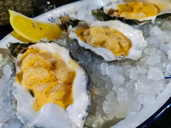 Deniz Kabuğu Tartare Deniz Kabuğu Gıda Arka Planı — Stok fotoğraf