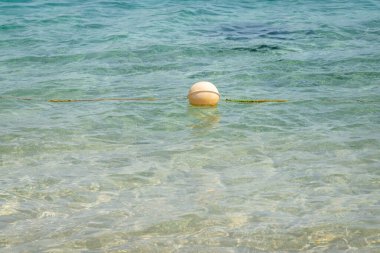 Güzel deniz pantonu ve kumsal