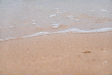 Deniz kıyısındaki bir tatil köyünde güzel bir sahil