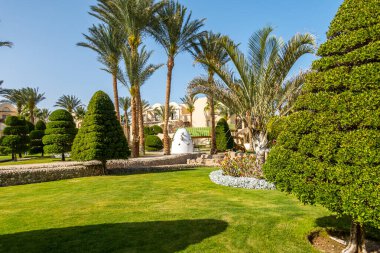 Güzel bahçe sanatı, manzara tasarımı arka plan