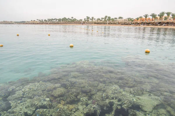 Mercan Balıklı Güzel Deniz — Stok fotoğraf