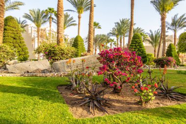 Güzel bahçe sanatı, manzara tasarımı arka plan