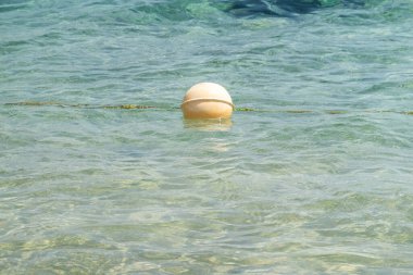 Güzel deniz pantonu ve kumsal