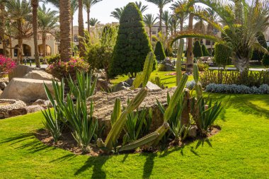 Güzel bahçe sanatı, manzara tasarımı arka plan