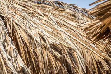 Kuru Avuç Yaprakları Arkaplan DokusuName