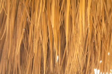 Kuru Avuç Yaprakları Arkaplan DokusuName