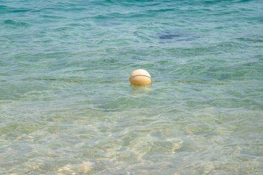 Güzel deniz pantonu ve kumsal