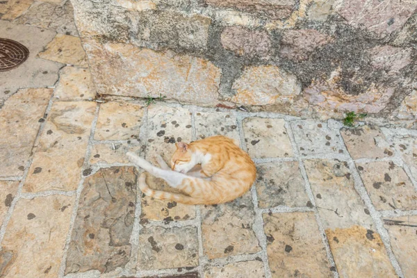 Schöne Straßen Mit Urbanem Hintergrund Montenegro — Stockfoto