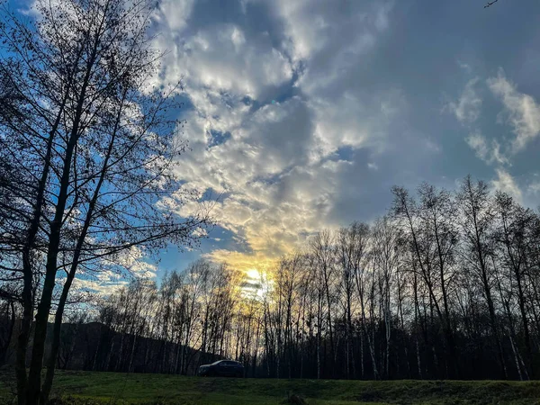 Krásný Západ Slunce Blízkosti Lesa Auta — Stock fotografie