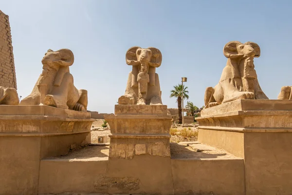 エジプトの古代遺跡 カルナック神殿 — ストック写真