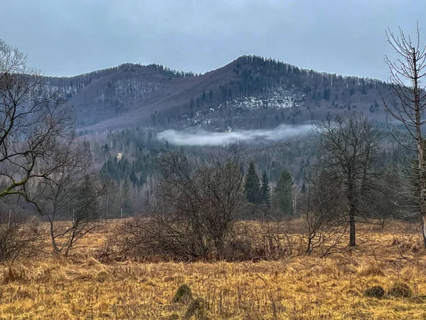 Vackra Berg Skog Landskap Bakgrund — Stockfoto