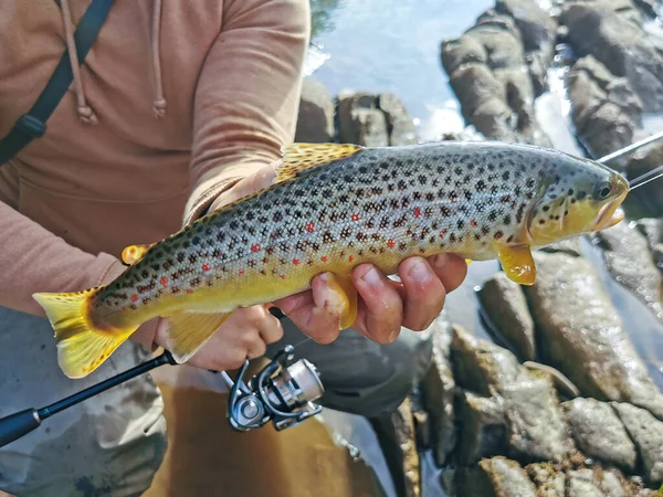 Pesca Truta Fundo Pesca Natureal — Fotografia de Stock