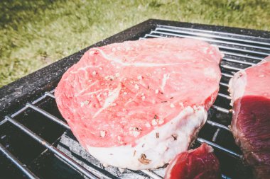 Izgara biftek, kamp. Taşınabilir ızgara