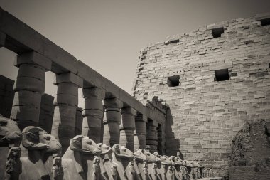 Mısır 'ın antik anıtları, Karnak tapınağı