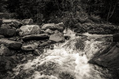 Muhteşem dağ nehri. Büyüleyici bir doğa.