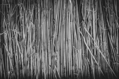 Kuru saman dokusu doğal arka plan