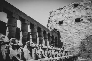 Mısır 'ın antik anıtları, Karnak tapınağı