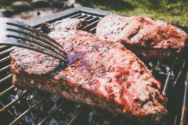 Izgara biftek, kamp. Taşınabilir ızgara