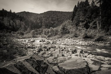 Muhteşem dağ nehri. Büyüleyici bir doğa.