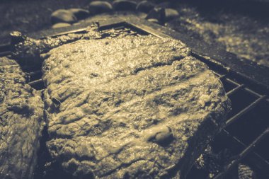 Izgara biftek, kamp. Taşınabilir ızgara