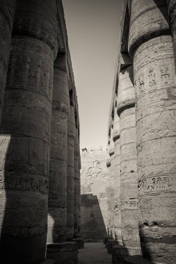 Mısır 'ın antik anıtları, Karnak tapınağı
