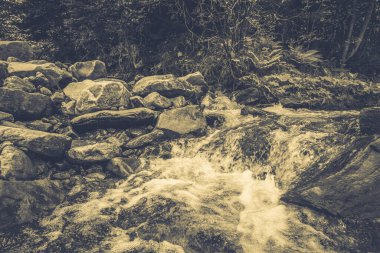 Muhteşem dağ nehri. Büyüleyici bir doğa.