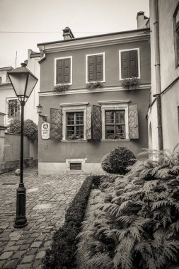 Lviv 'in güzel sokakları ve evleri