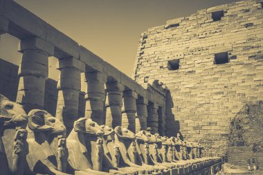 Mısır 'ın antik anıtları, Karnak tapınağı