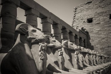 Mısır 'ın antik anıtları, Karnak tapınağı