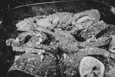 Izgara arka planında sazan balığı pişirme