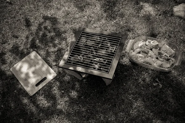 Matlagning Karp Grillen Bakgrund — Stockfoto