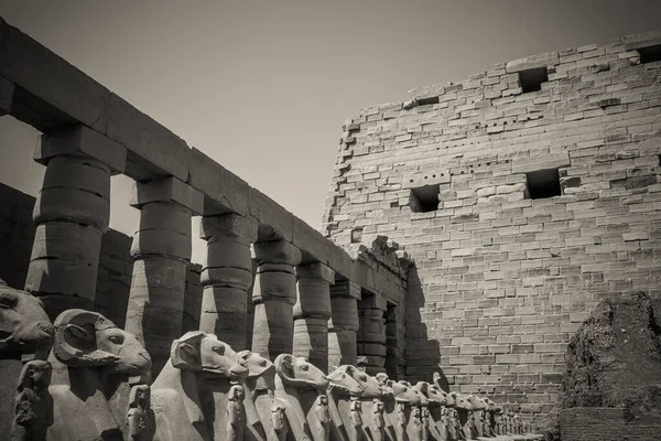 Monumentos Antigos Egito Templo Karnak — Fotografia de Stock