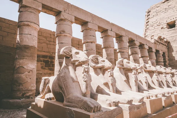 Monumentos Antigos Egito Templo Karnak — Fotografia de Stock