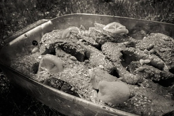 Koken Karper Grill Achtergrond — Stockfoto