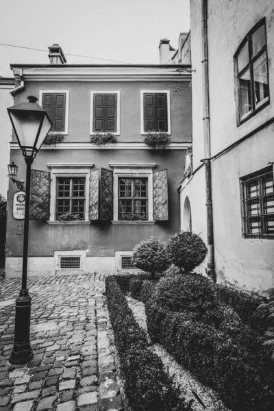 Hermosas Calles Casas Lviv — Foto de Stock