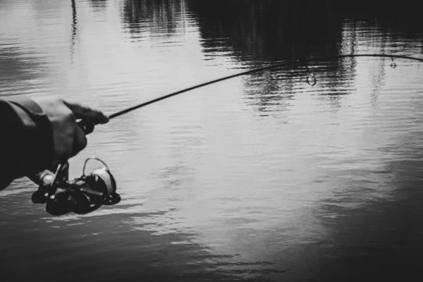 Pesca Truchas Lago Recreación — Foto de Stock