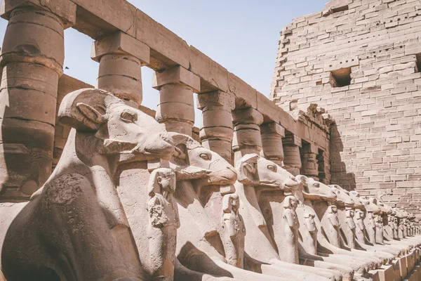 Monumentos Antigos Egito Templo Karnak — Fotografia de Stock