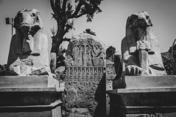 Oude Monumenten Van Egypte Karnak Tempel — Stockfoto