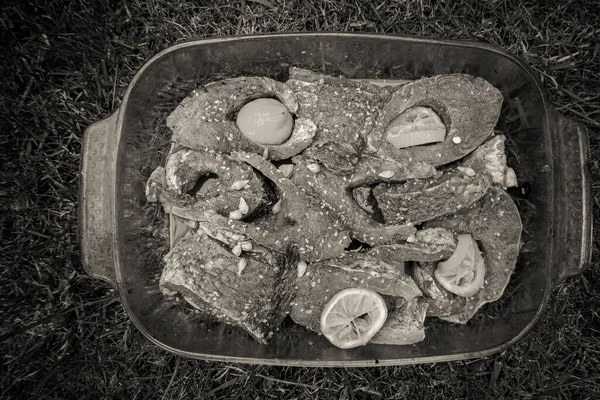 Μαγειρική Κυπρίνου Στο Φόντο Σχάρα — Φωτογραφία Αρχείου