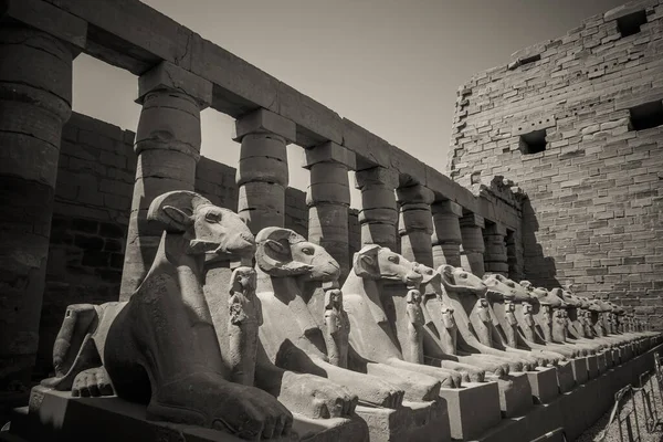Ősi Emlékek Egyiptom Karnak Templom — Stock Fotó