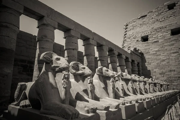 Monuments Anciens Egypte Temple Karnak — Photo