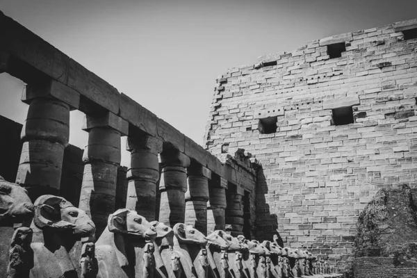 Monumentos Antigos Egito Templo Karnak — Fotografia de Stock