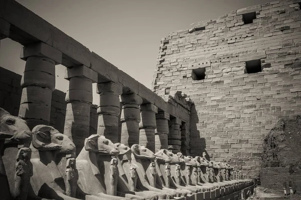 Monumentos Antigos Egito Templo Karnak — Fotografia de Stock